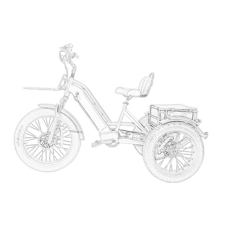 Electric Tricycle