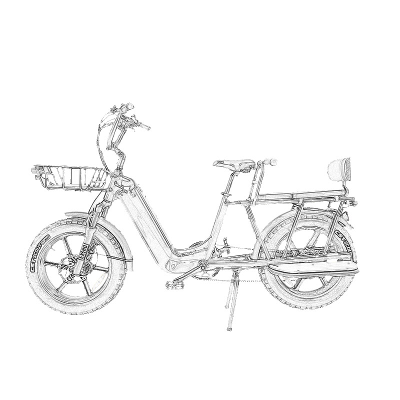 Cargo Electric Bicycle