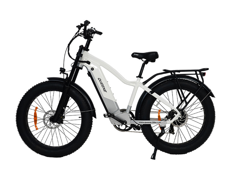 QUEENE ELECTRIC TECHNOLOGY CO.,LTD